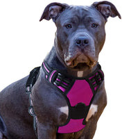 New Eagloo Dog Harness No Pull, Walking Pet Harness with 2 Metal Rings and Handle Adjustable Reflective Breathable Oxford Soft Vest Easy Control Front Clip Harness, Sz S!