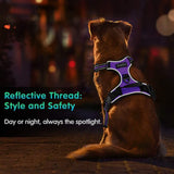 New No Pull Dog Harness with Front Clip, Walking Pet Harness with 2 Metal Ring and Handle Reflective Oxford Padded Soft Vest in Purple, Sz S!