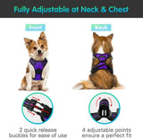 New No Pull Dog Harness with Front Clip, Walking Pet Harness with 2 Metal Ring and Handle Reflective Oxford Padded Soft Vest in Purple, Sz S!