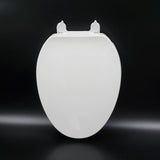 shopify auction