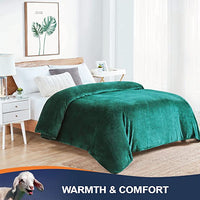 New Walensee Fleece Blanket Plush Throw Fuzzy Lightweight (60x80 Emerald Green) Super Soft Microfiber Flannel Blanket