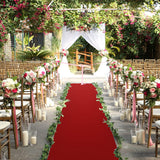 New Red Carpet Event Runner, 3.3ft x 33ft Hollywood Birthday Party Decorations Red Carpet Event Runner for Indoor Or Outdoor Use by RZMY! Retails $309+