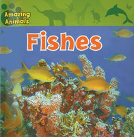 Brand new Amazing Animals Fishes Paperback! 48 Pages! Ages 7-10