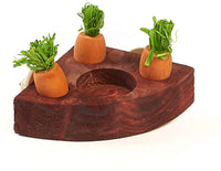 New in box! Kaytee Toss and Learn Carrot Game! For rabbits, guinea pigs, or other small animals