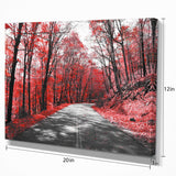 Landscapes Floral 'Patch in Red Forest' Photographic Print on Wrapped Canvas 12"H X 20"L Retails $49+ on Sale!