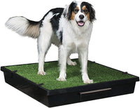 PetSafe Pet Loo LARGE 32.5" X 32.5" Portable Indoor/Outdoor Dog Potty, Alternative to Puppy Pads, Large! Retails $250+