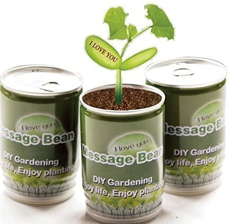 New Magic bean - Plant in a can with message 'I Love You', includes 1 can!