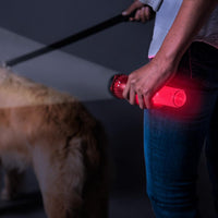 Floating Multi-Mode Flashlight and Lantern with Red Safety Glow, Flash & storage compartment in the handle! Lasts 300+ Hours