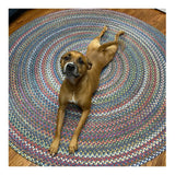 New Wayfair Orval Handmade Green Indoor/Outdoor Rug, Braided! 4 Ft Round! Retails $429+