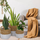 New Wayfair Paint Dipped 3 Piece Wicker Basket Set! Plastic Lined, great for many uses throughout the home, not just planters! Retails $125+