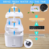 New Pet Fountain, Parner Quiet Flower Automatic Cat Water Fountain, 2.5L LED Flower Dispenser with Water Level Indicator for Cat Dog Pets, Free 4pcs Filter and Silica Pad