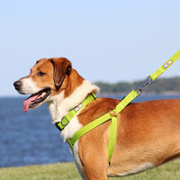 Pawtitas Pet Soft Adjustable Step-in Reflective Puppy / Dog Harness Small Pink