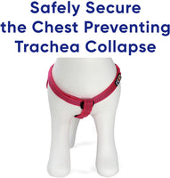 Pawtitas Pet Soft Adjustable Step-in Reflective Puppy / Dog Harness Small Pink