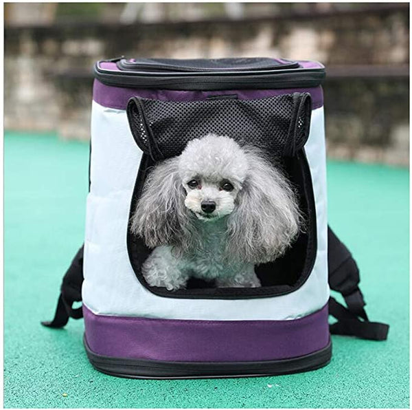 New Pet Carrier Backpack with Double Shoulder & Mesh front, top & side vents (Colour : Purple/Grey) Max Pet weight 22 Lbs Retails $110+
