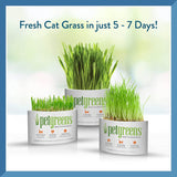 New Pet Greens Garden Wheat Grass Self-Grow Kit by Bell Rock Growers! Great for all pets including reptiles!!