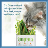 New Pet Greens Garden Wheat Grass Self-Grow Kit by Bell Rock Growers! Great for all pets including reptiles!!