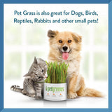 New Pet Greens Garden Wheat Grass Self-Grow Kit by Bell Rock Growers! Great for all pets including reptiles!!