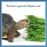 New Pet Greens Garden Wheat Grass Self-Grow Kit by Bell Rock Growers! Great for all pets including reptiles!!