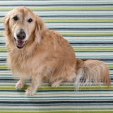 New Wayfair Dash & Albert Pond Stripe Striped Handmade Handwoven Blue/Green Indoor / Outdoor Area Rug, 2Ft X 3Ft! Retails $96+