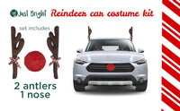 Brand new in package! auto kit - Turn Your Car into a Reindeer!