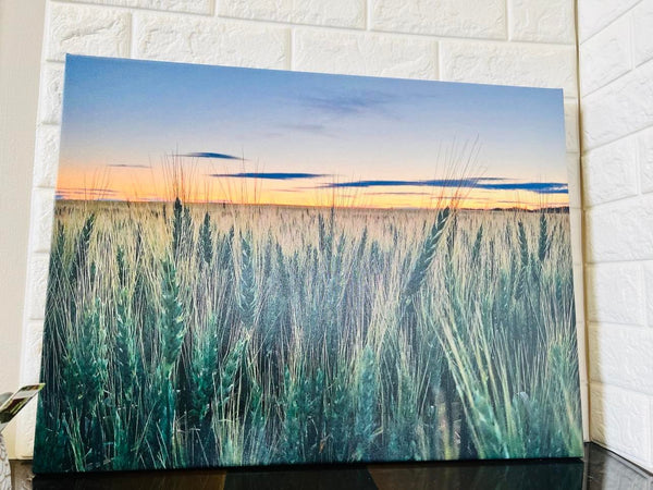 New 18" X 24" Tall Grass Print on Canvas!
