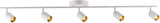 shopify auction