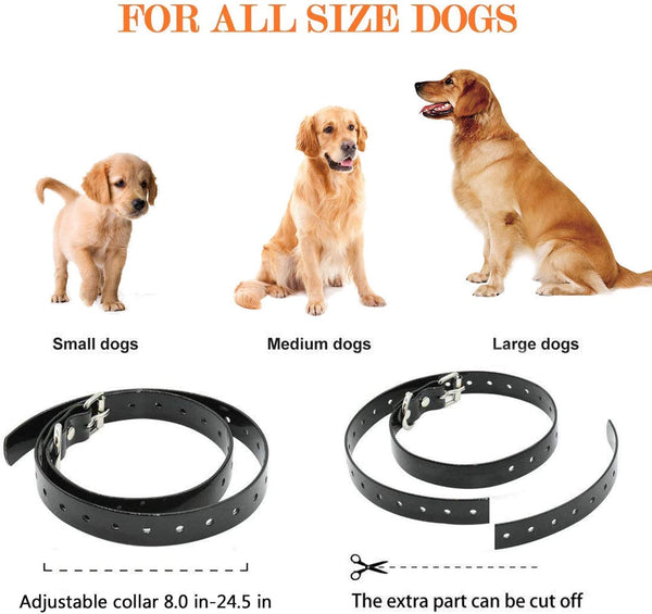 Timprove dog hot sale collar manual