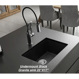 Great Quality Turion Granite Composite 22" L x 17" W Undermount Kitchen Sink, Black! Retails $249 W/tax on sale!