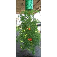 The Amazing Vegetable Grower! GREAT FOR GROWING PEPPERS, BEANS, KALE, TOMATOES, HERBS & MANY OTHER VEGETABLES WITHOUT THE WORRY OF PESTS!