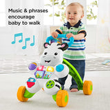 New in box! Fisher-Price Learn with Me Zebra Walker, Ages 6 Months+